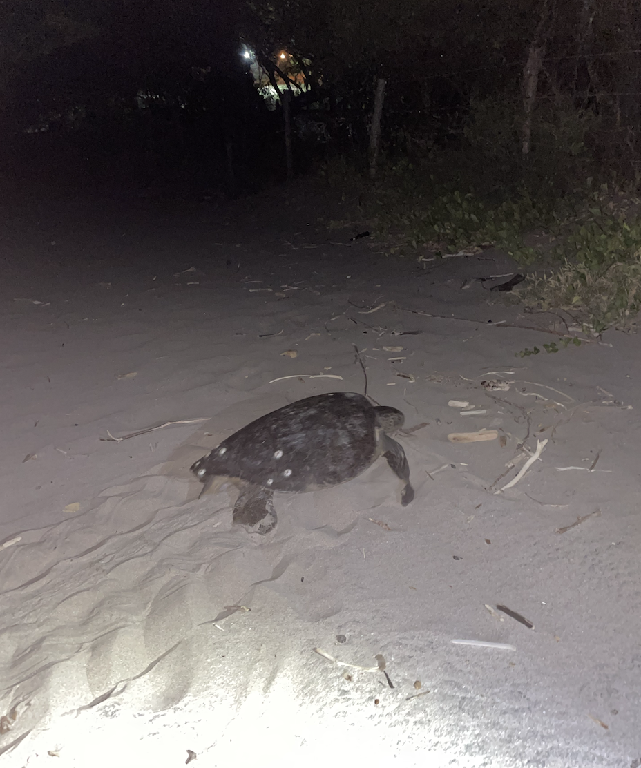 I almost didn’t go…