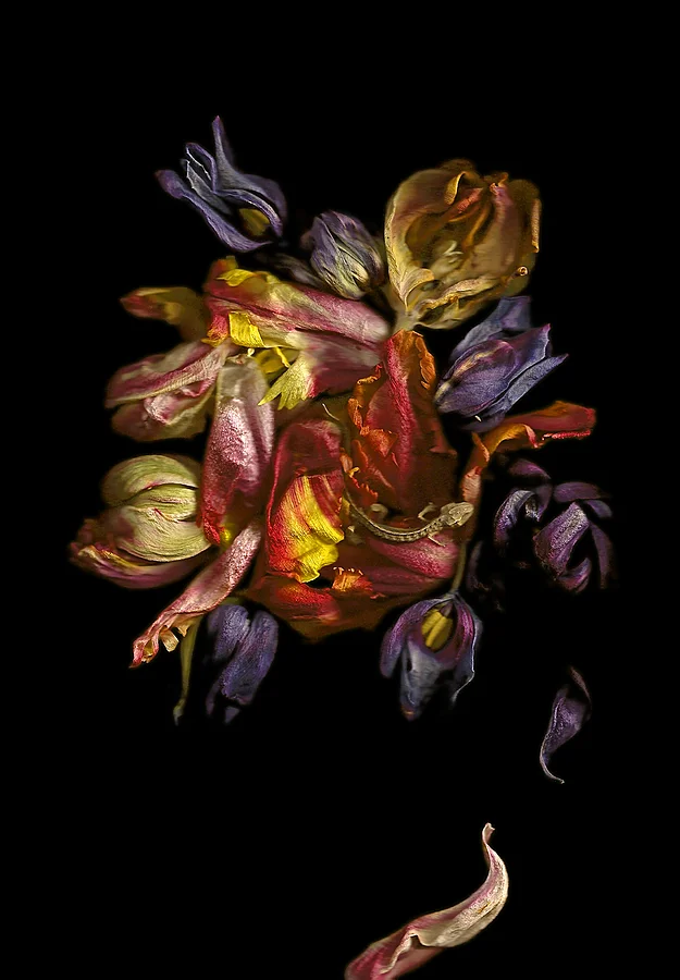 Oh the Dutch…great art and a taste for subtle aesthetics. Reminds me of Grandma Lue (R.I.P.) … she was Dutch.
sealmaiden:

arsvitaest via osso:
Annet van der Voort