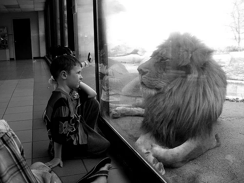 I would love to find out who took this picture.
via 20.media.tumblr.com