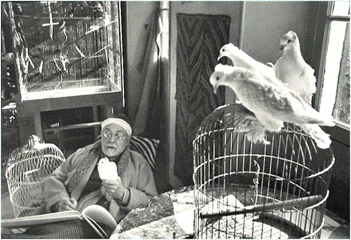 "Matisse with Birds;" Henri Cartier-Bresson.