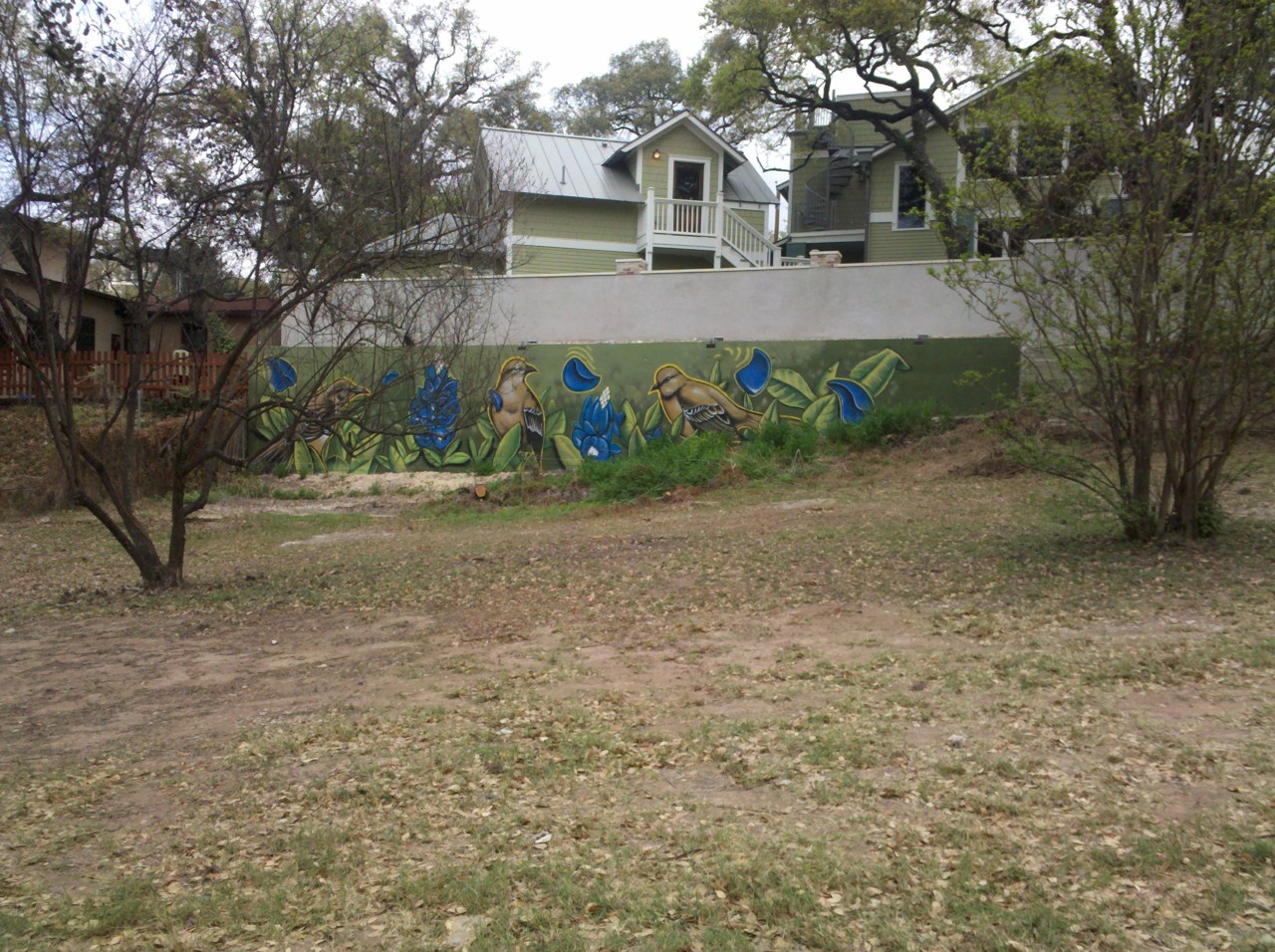 Ladybird lake #austin