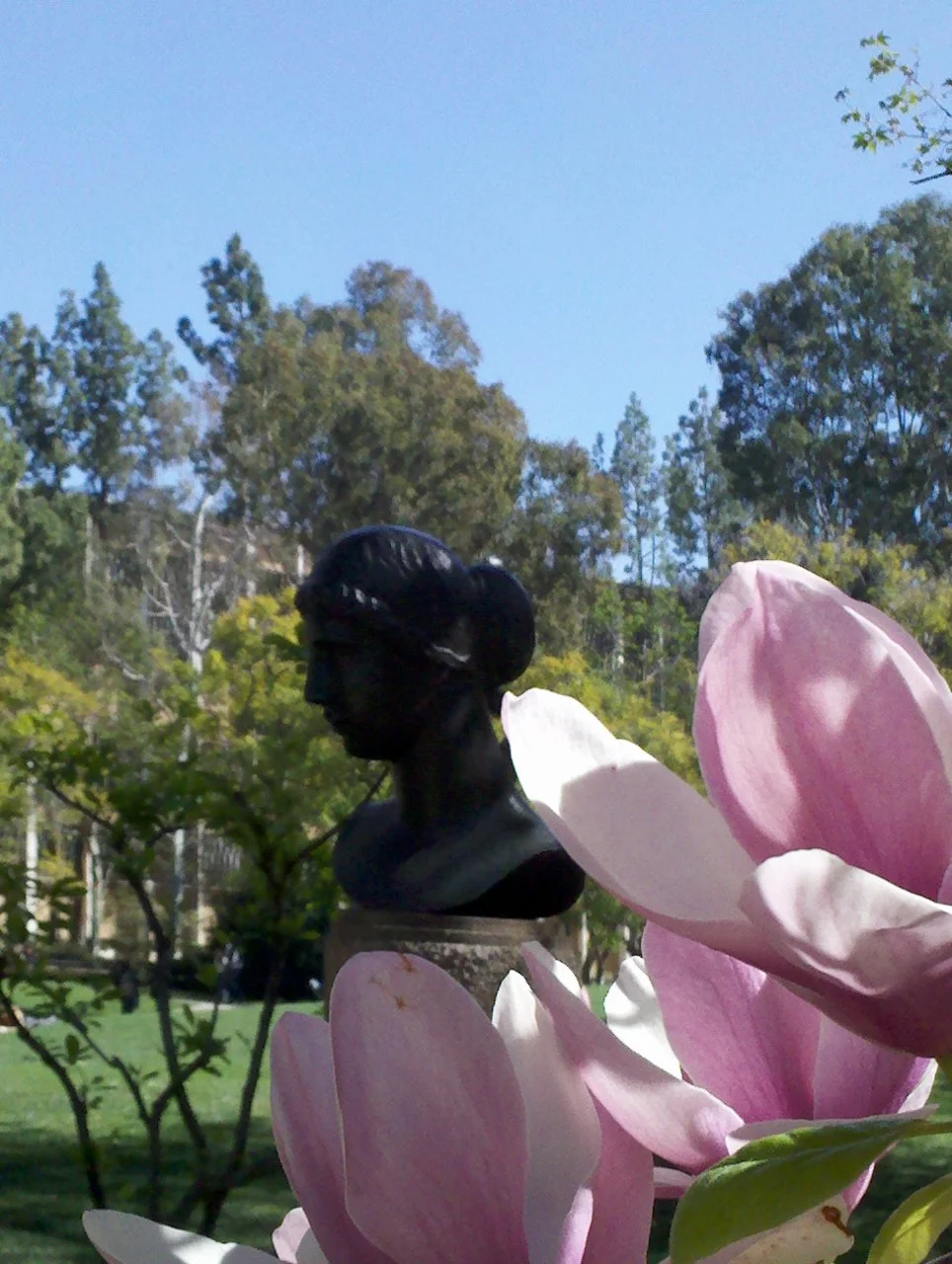 UCLA sculpture garden