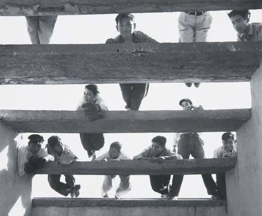 darksilenceinsuburbia:

jazzandsuchpotpourri:

Photographer: Lola Alvarez Bravo
Title: Los Gorriones