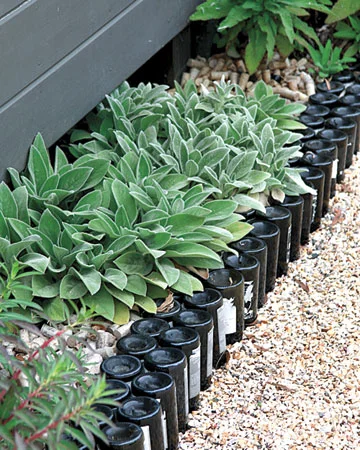 Here’s one way to recycle wine bottles! (Or beer bottles… or whiskey … or rum…)