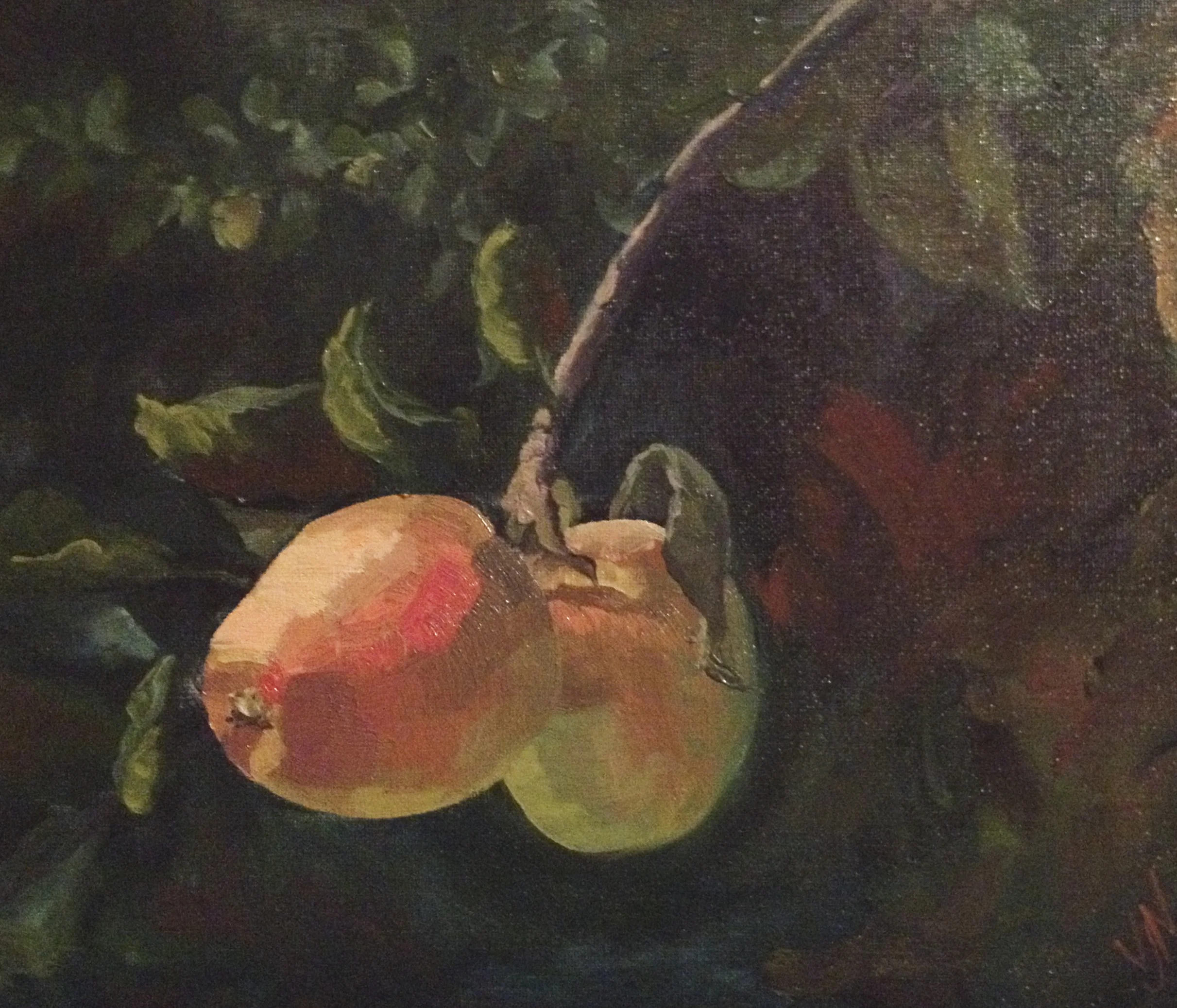 Miri's apples