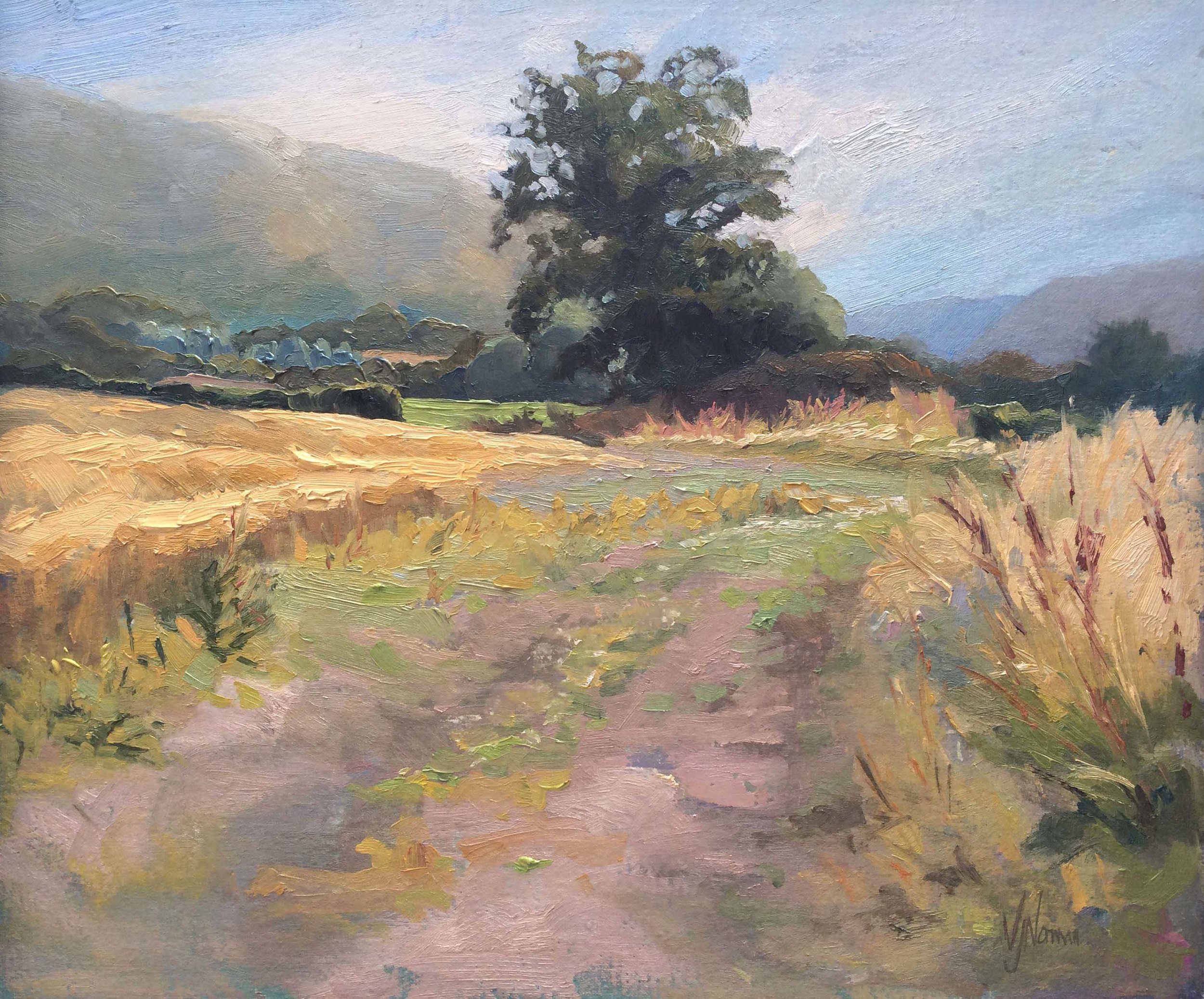 Fields below The Lawley