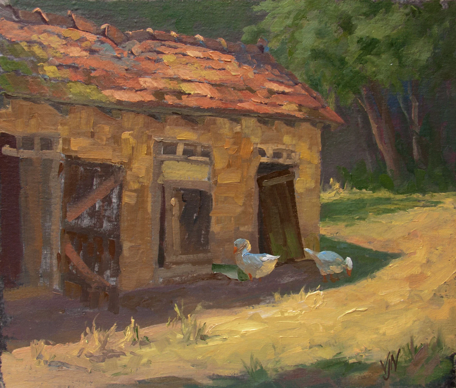 Geese in the shade