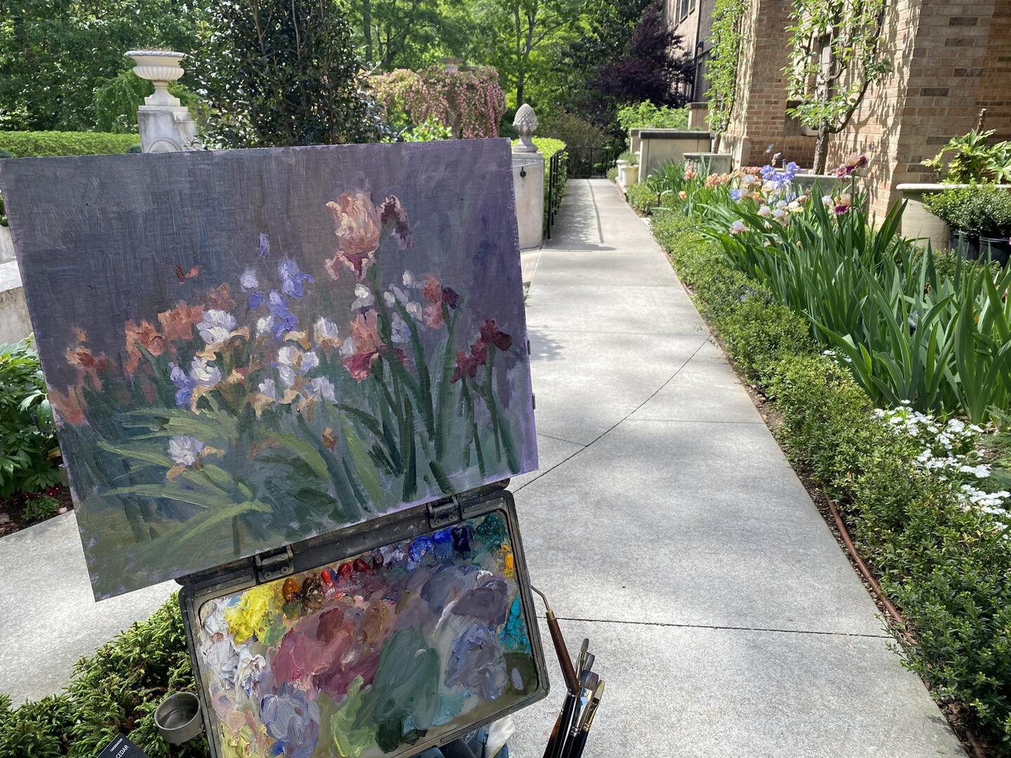 Having a great time painting here in Atlanta for the @olmstedpleinair this week. Today I was lured back to the @atlantahistorycenter by their beautiful irises and the warmth of their lovely staff 😀 I even got a visit from a freshly shawn Daisy the s