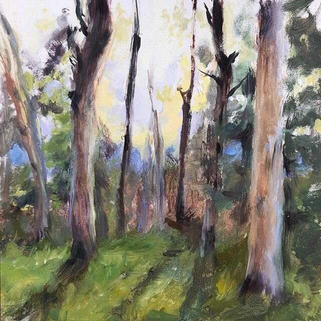 Quick study. Aspen Vista evening sketch from a few weeks back ✨#oilpainting #landscapepainting #paintingoutdoors #fromlife #treepaintings #santafe #landofenchantment