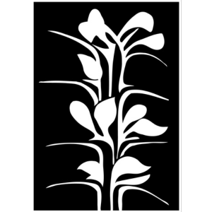 Tucson - Reading at Tucson Poetry Festival