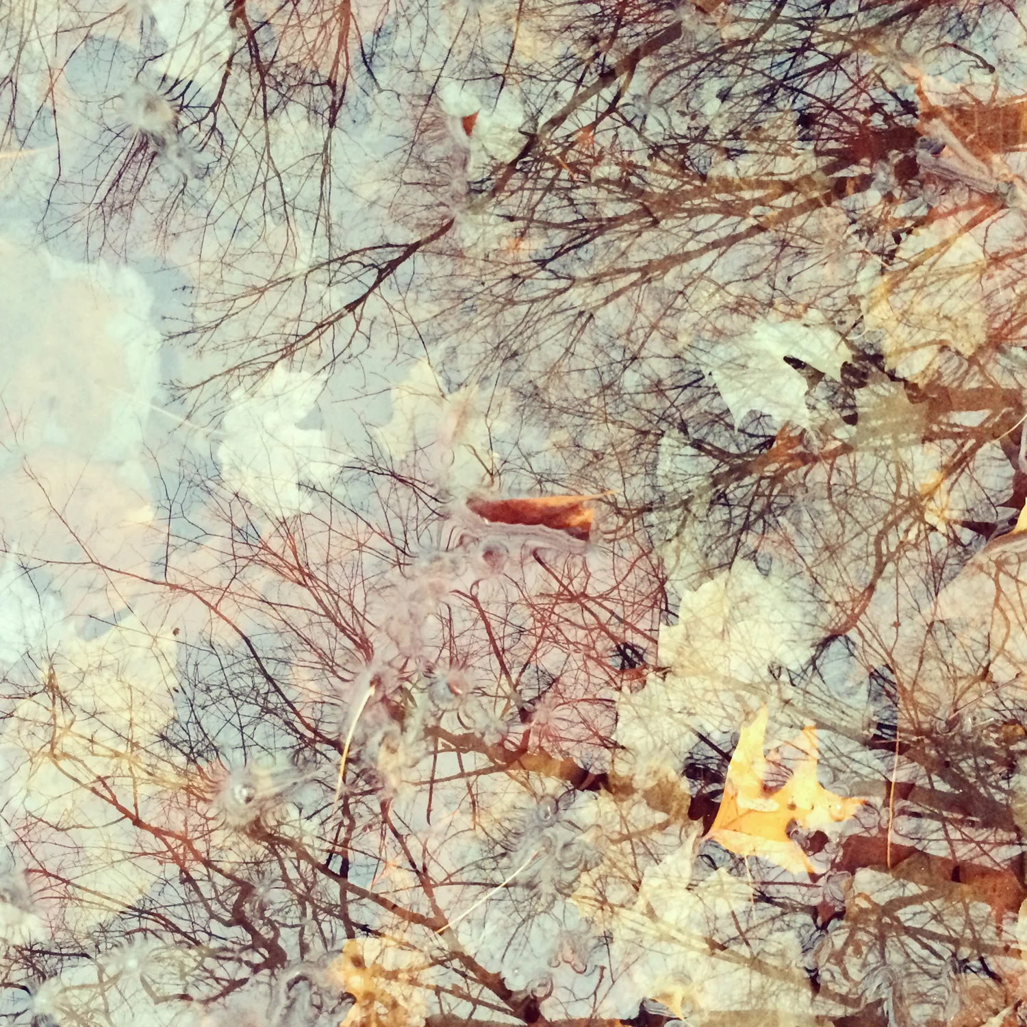 reflections.jpg
