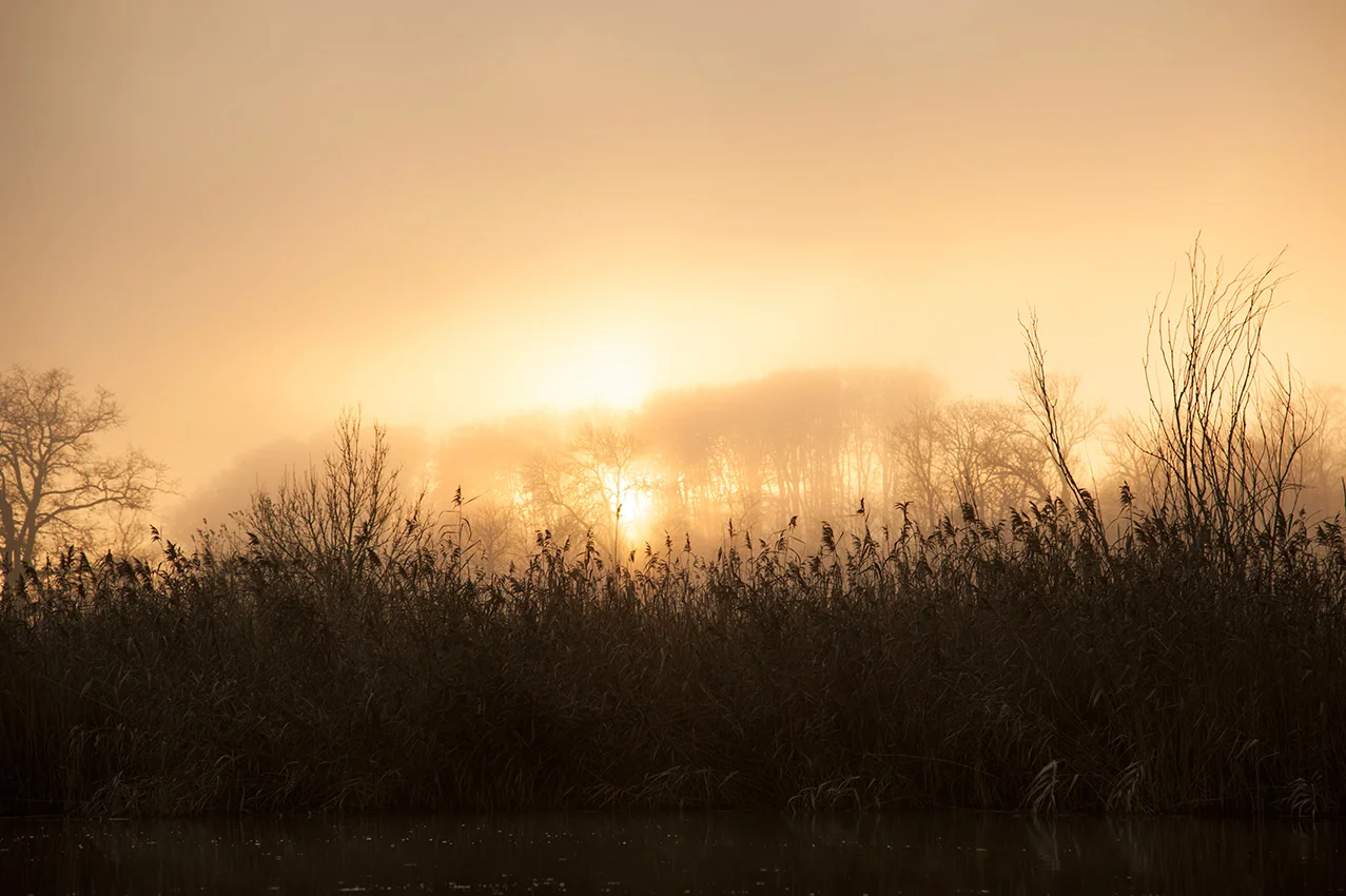 Sun-down-Bavarian-lake-6768.jpg