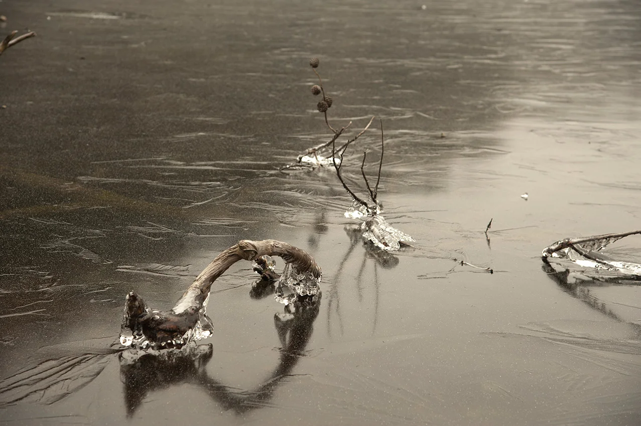 DSC_0199frozen-lake1.jpg