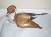 Pintail Duck Decoy 