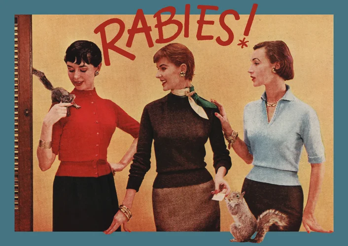 rabies_447.jpg