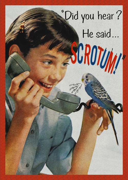 scrotum_464.jpg