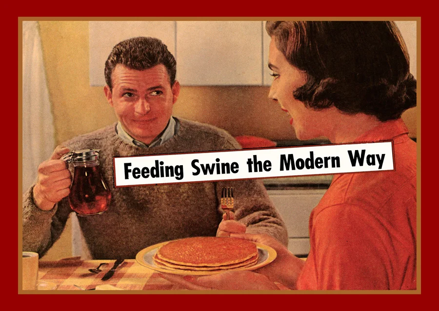 feeding_swine_282.jpg