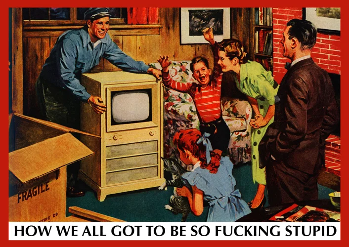 how_we_got_stupid_415.jpg