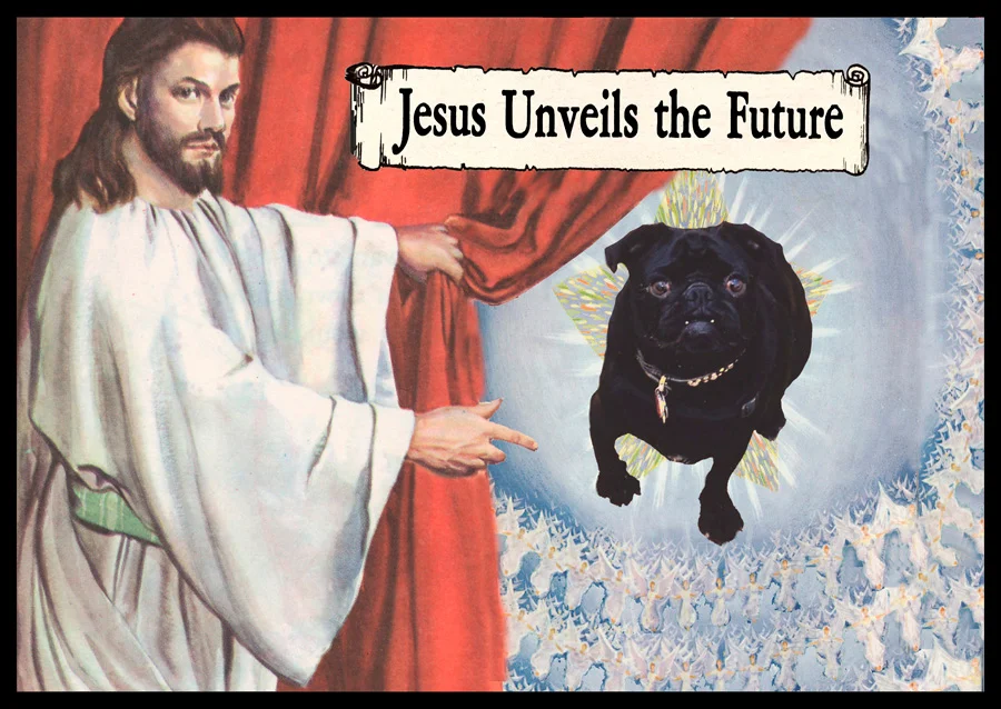 future_pug_021.jpg
