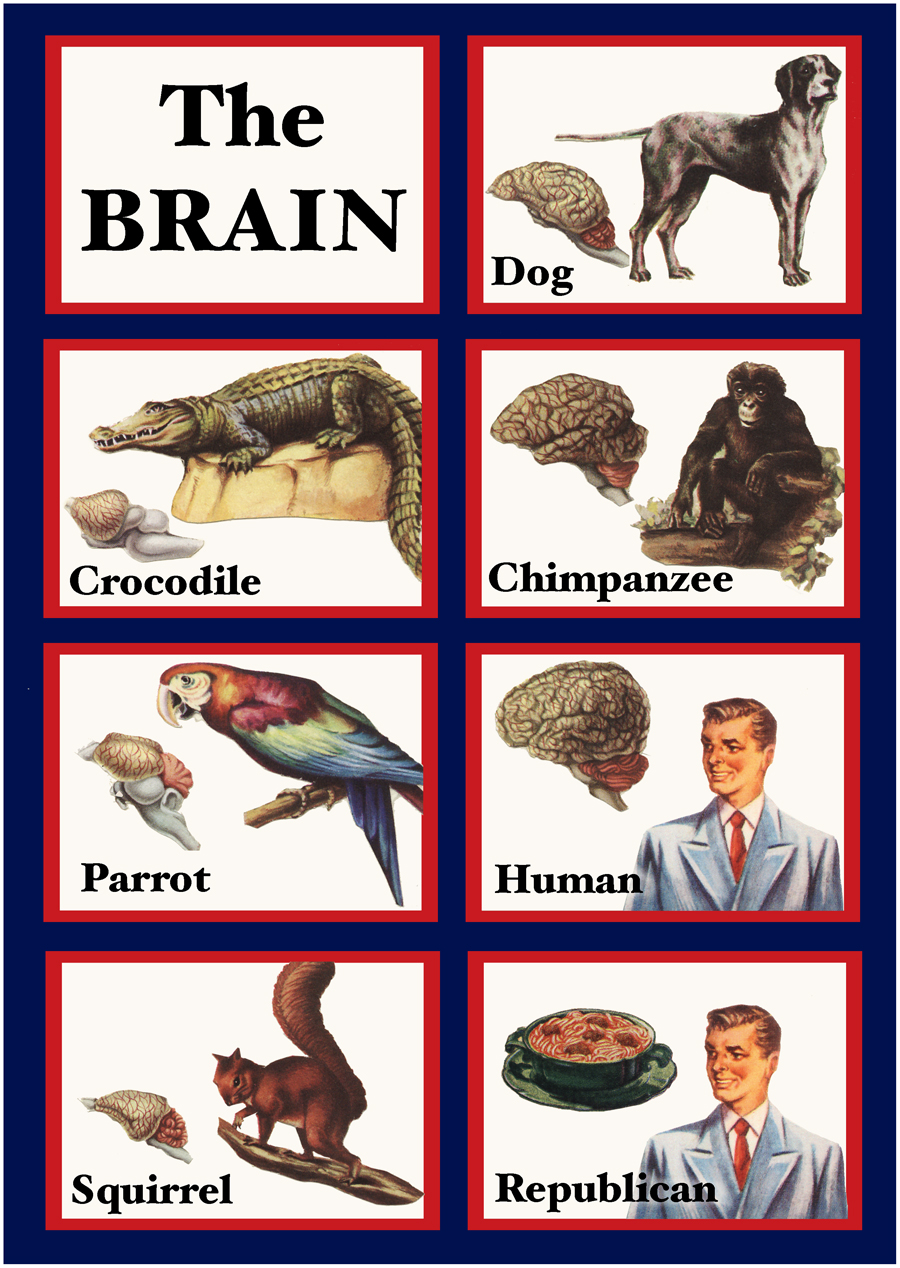 republican_brain_360.jpg