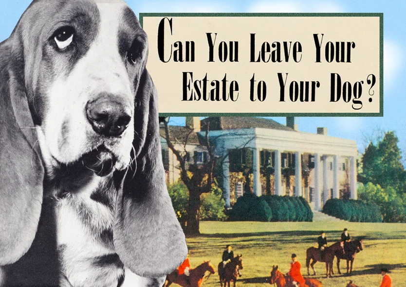dog_estate_281.jpg