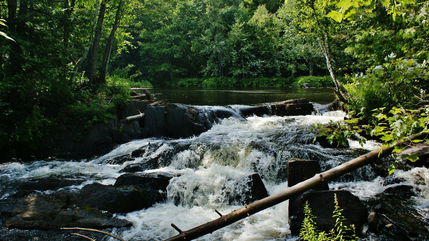 Scott's Dam Photo credit - Anne Philpot