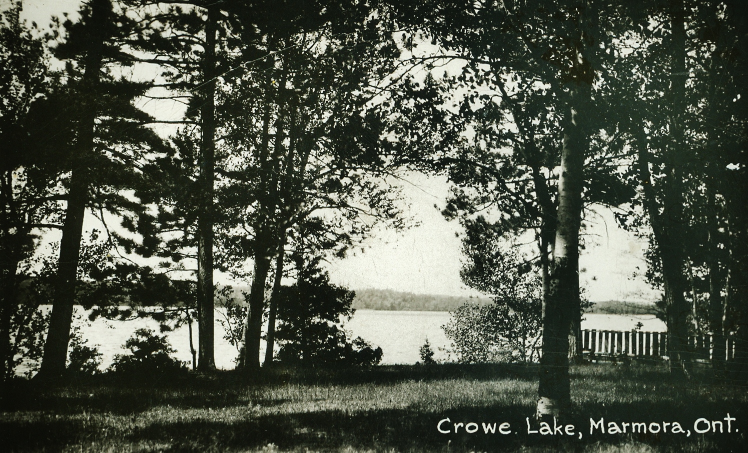 Crowe Lake (2).jpg