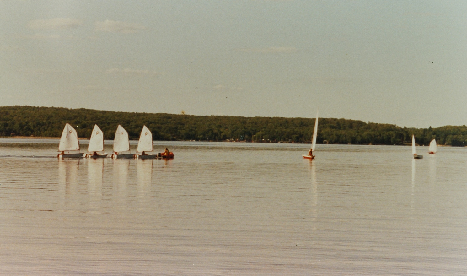 Crowe Lake sailing school,  Optimist program.jpg