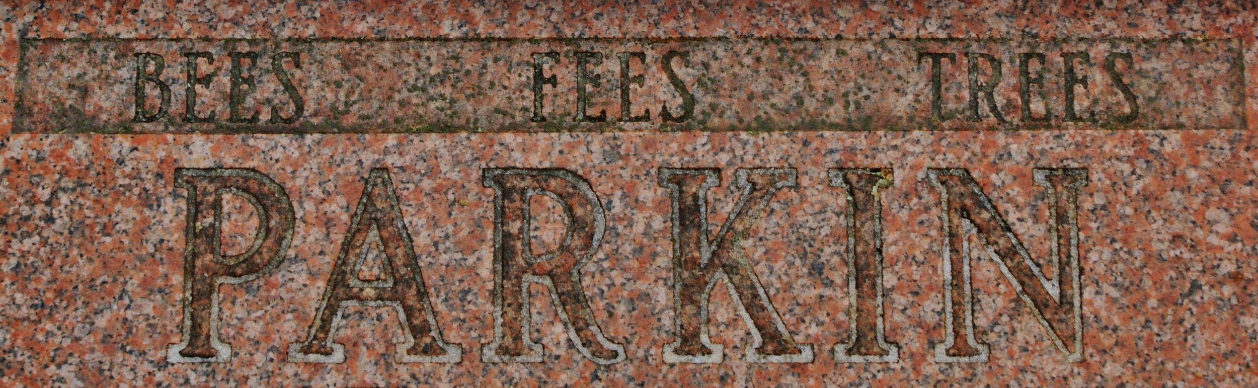 Bees treesand fees