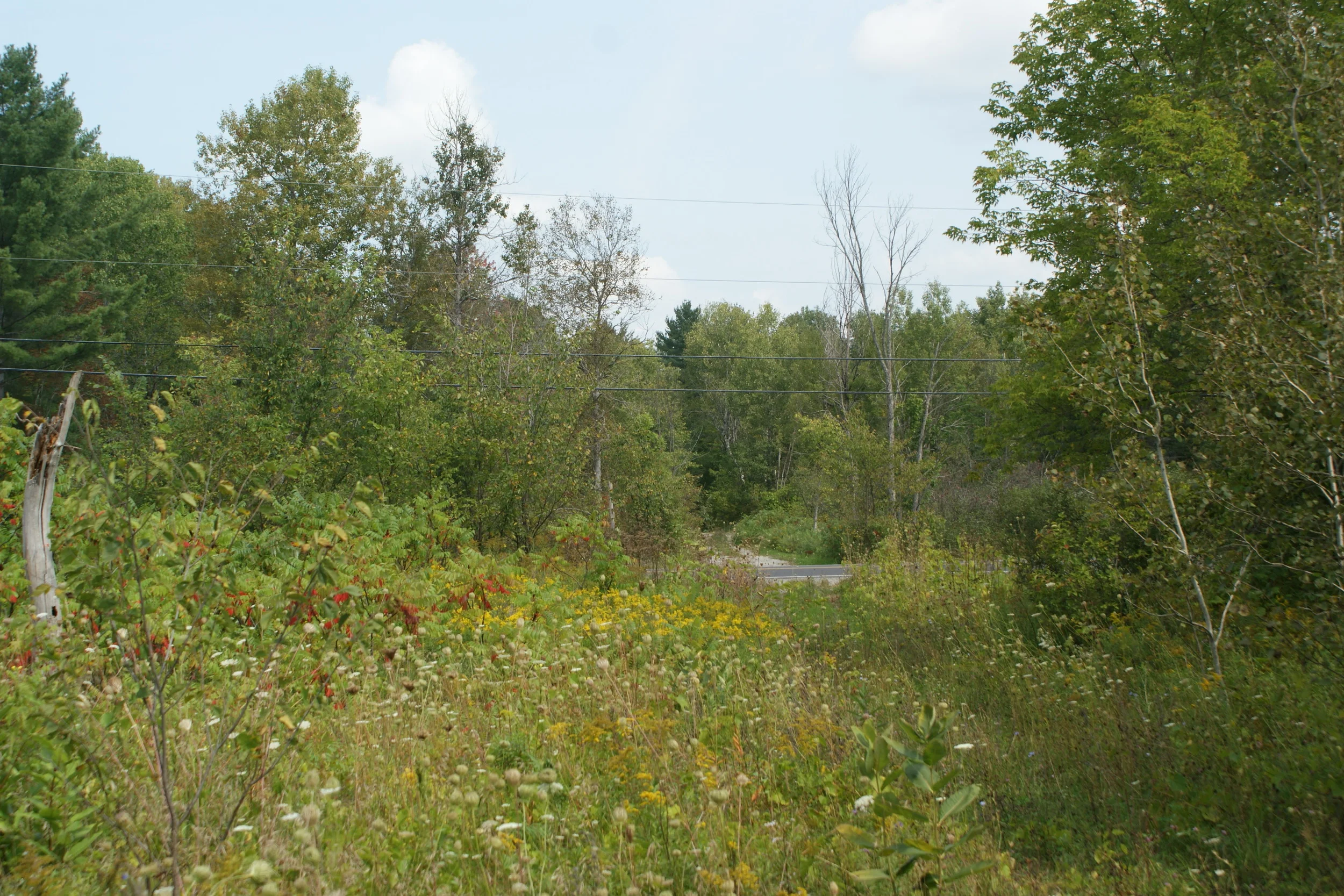 The Bay of Quinte railway,(looking east from station road) built by the Rathbun Lumber Co. to link Yarker to Queensborough and on to the Central Ontario Railway, capturing the miining market.