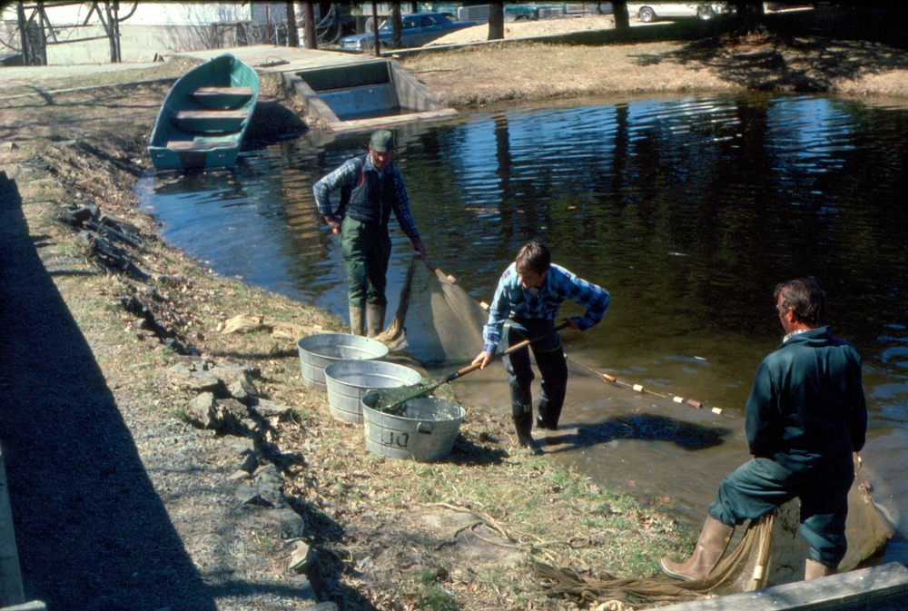 Sieving fingerings from pond,