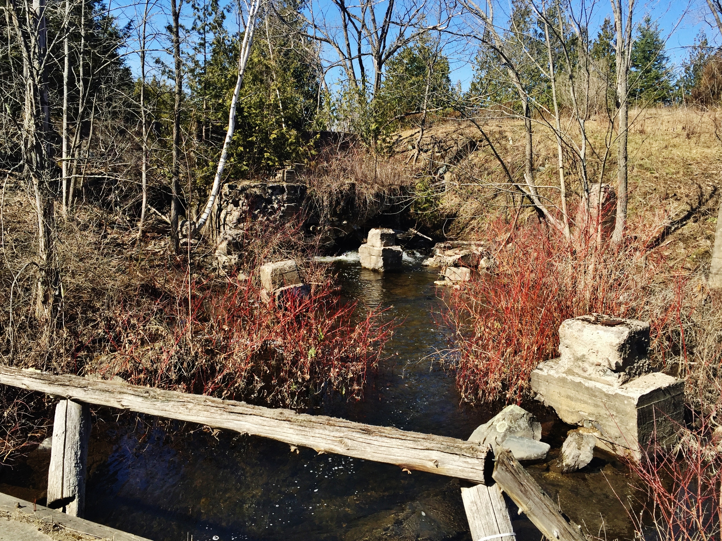 THE REMAINS OF THE briggs- BONTER SAW MILL - lOT 19 cONCESSION 5, mARMORA tOWNSHIP