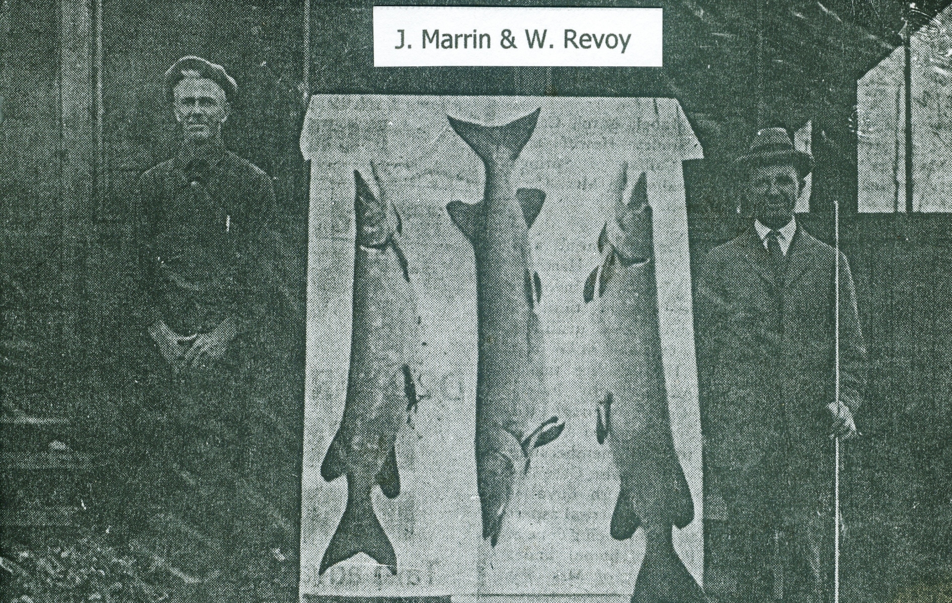 J. Marrin and William Revoy