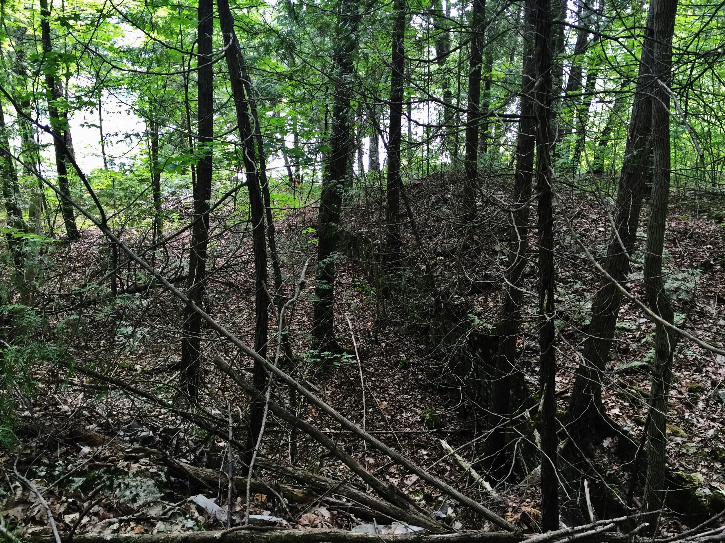 The remains of the quarry north of st. matilda's church in the woods.