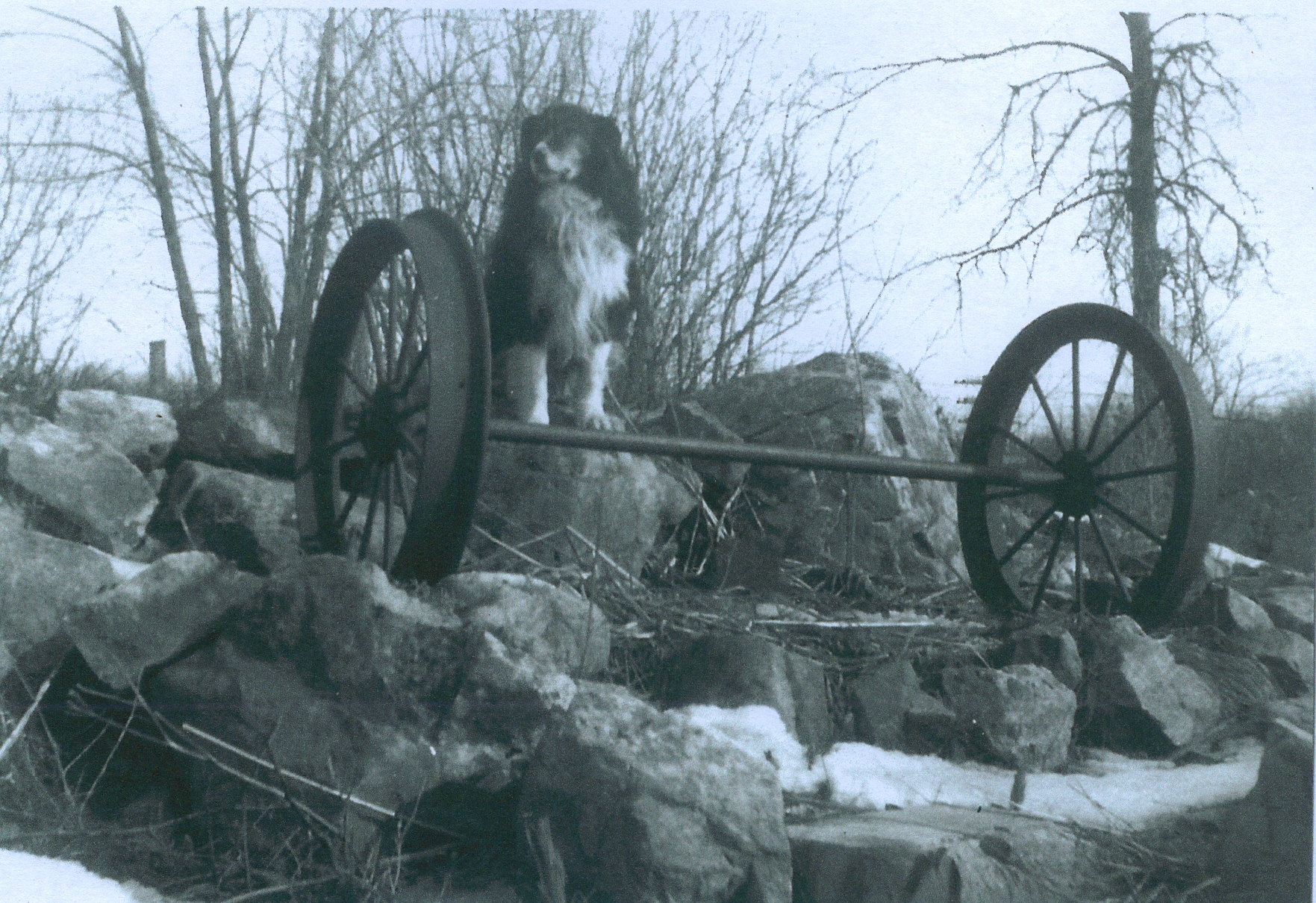 Aunger dog and wheels from blairton ore car