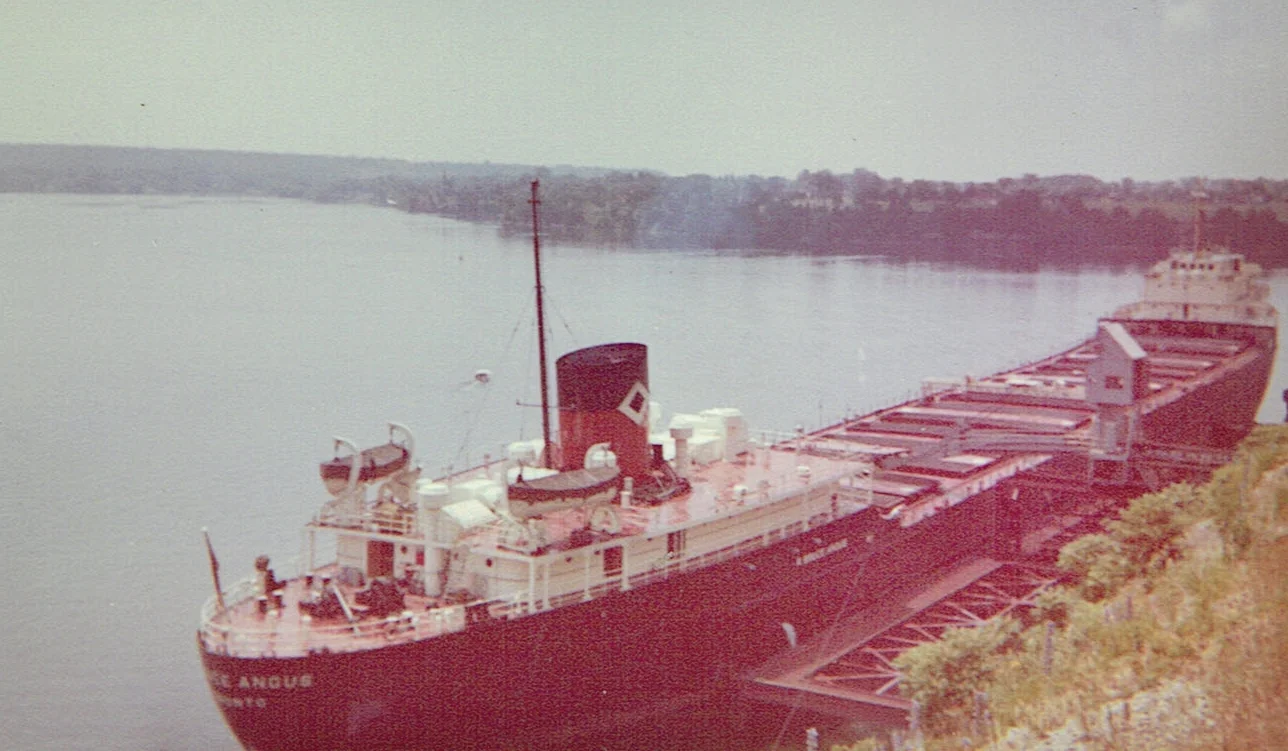 ship in picton