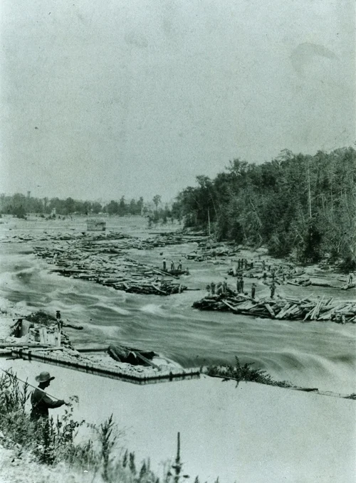 A Pearce Co lumber drive on the Crowe River. Marg Monk reported "Walking boss was Jacques (Jacob) Wilkes, father of Mrs. Garth Sabine."