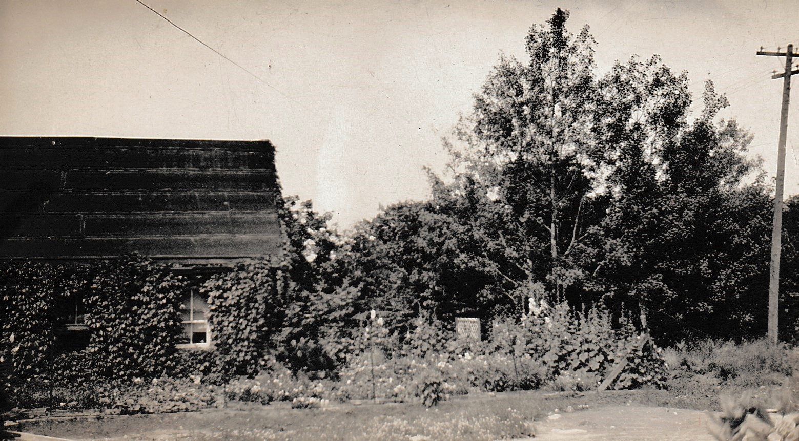 1920 early lab building, turned into a garden by Mr. Riggs