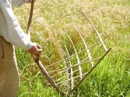 The cradle used for reaping until mid 1800s