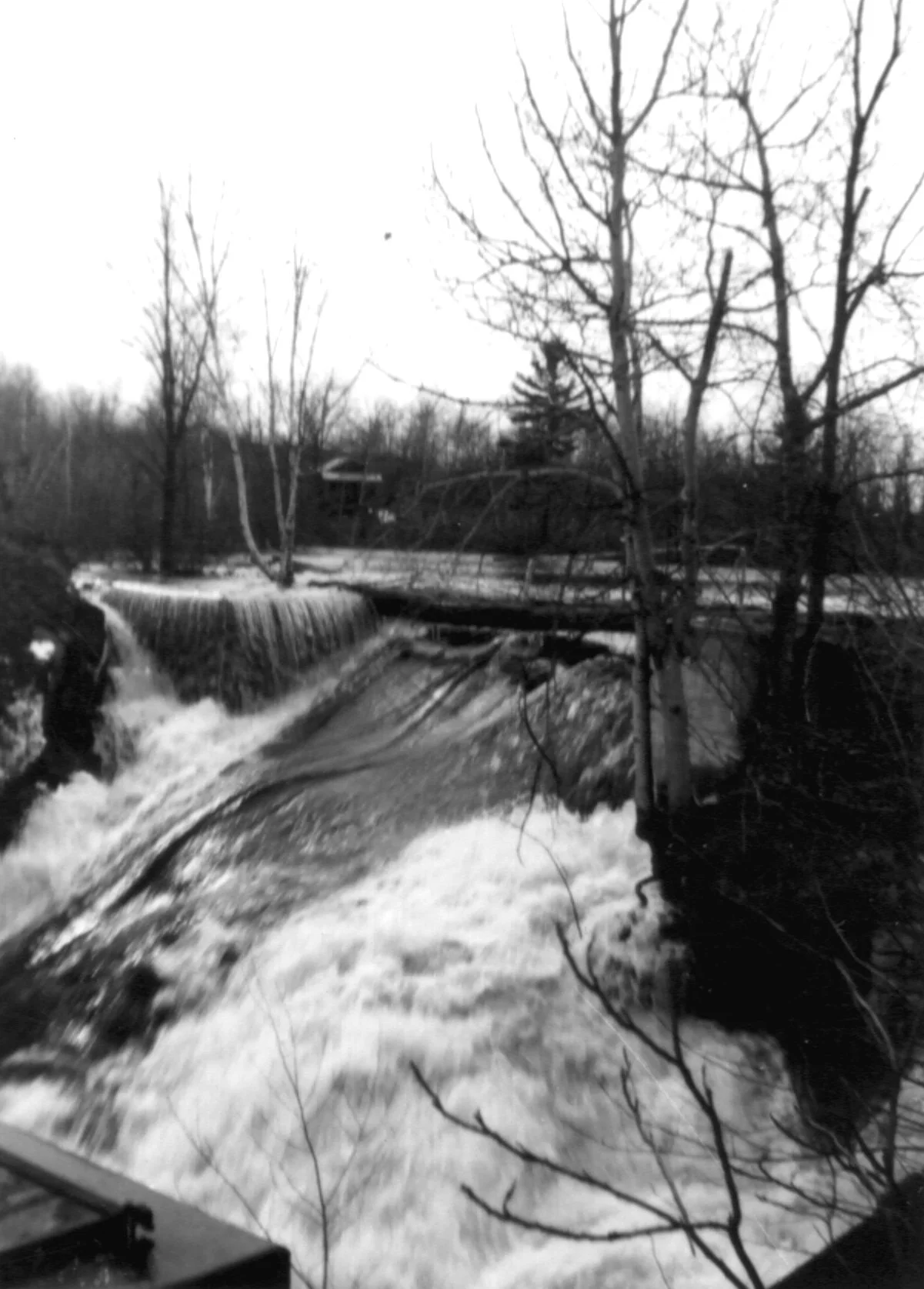 DamDeerLake2.jpg