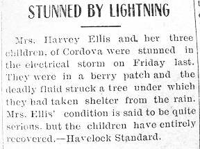 1914 Jul30_article_lightning_strike_Mrs_Harvey_Ellis_and_children_Cordova.jpeg