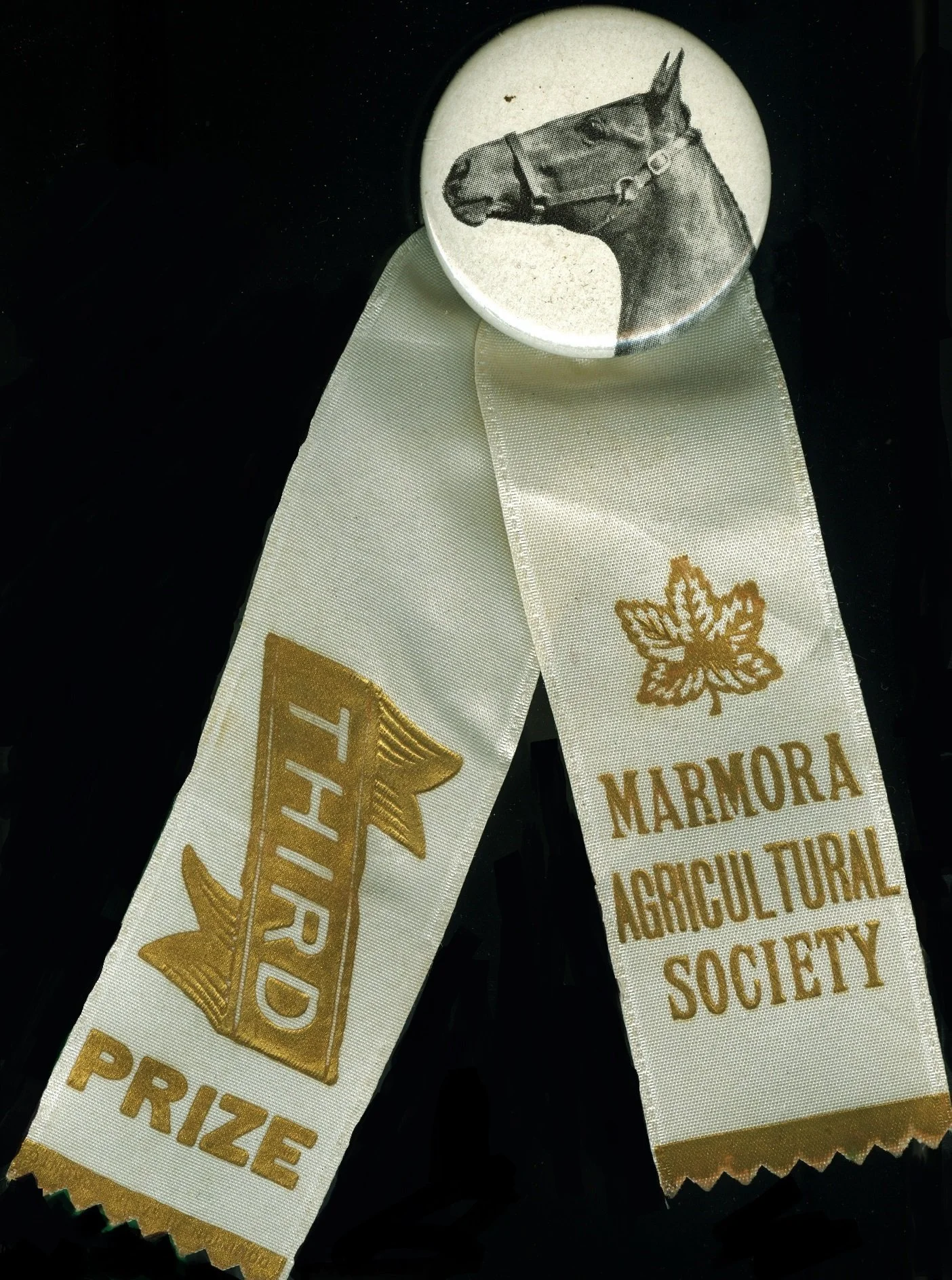 Marmora Agricultural Society.jpg