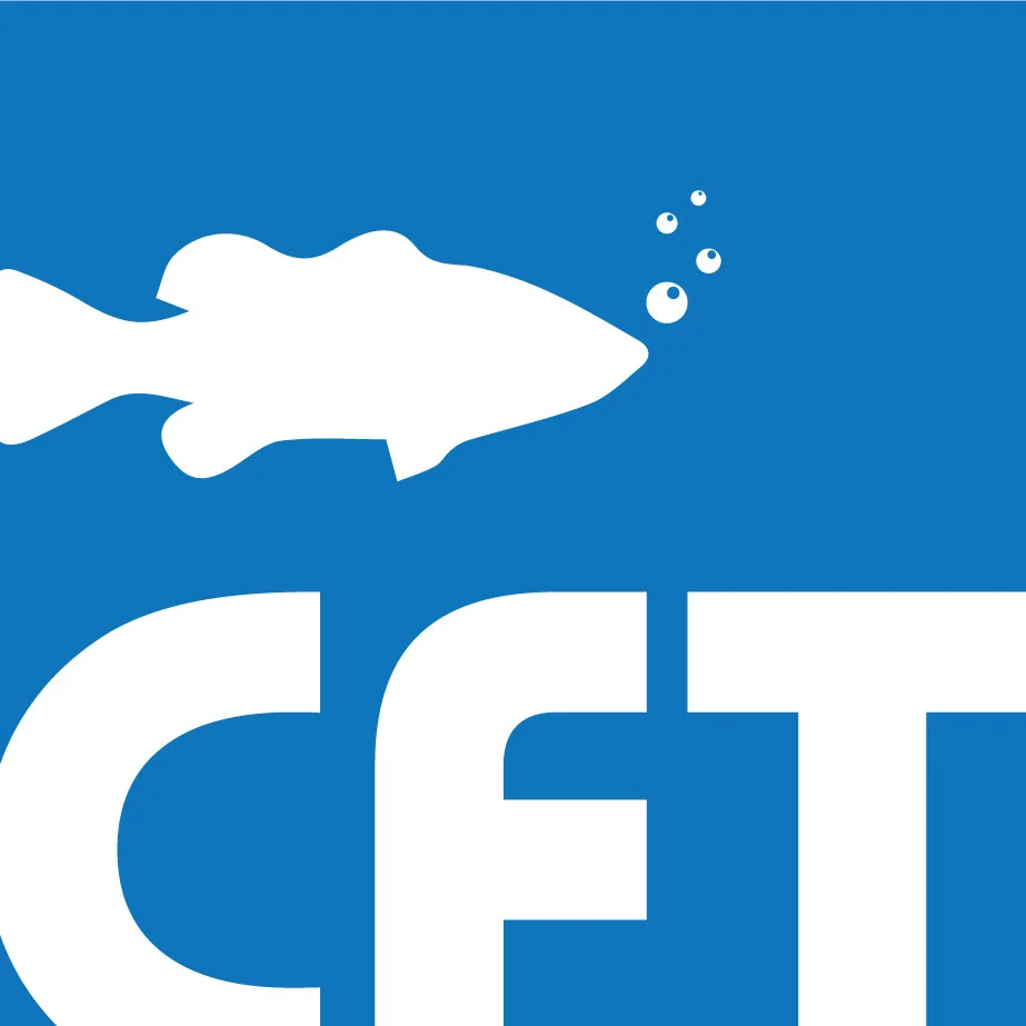 cft.jpg