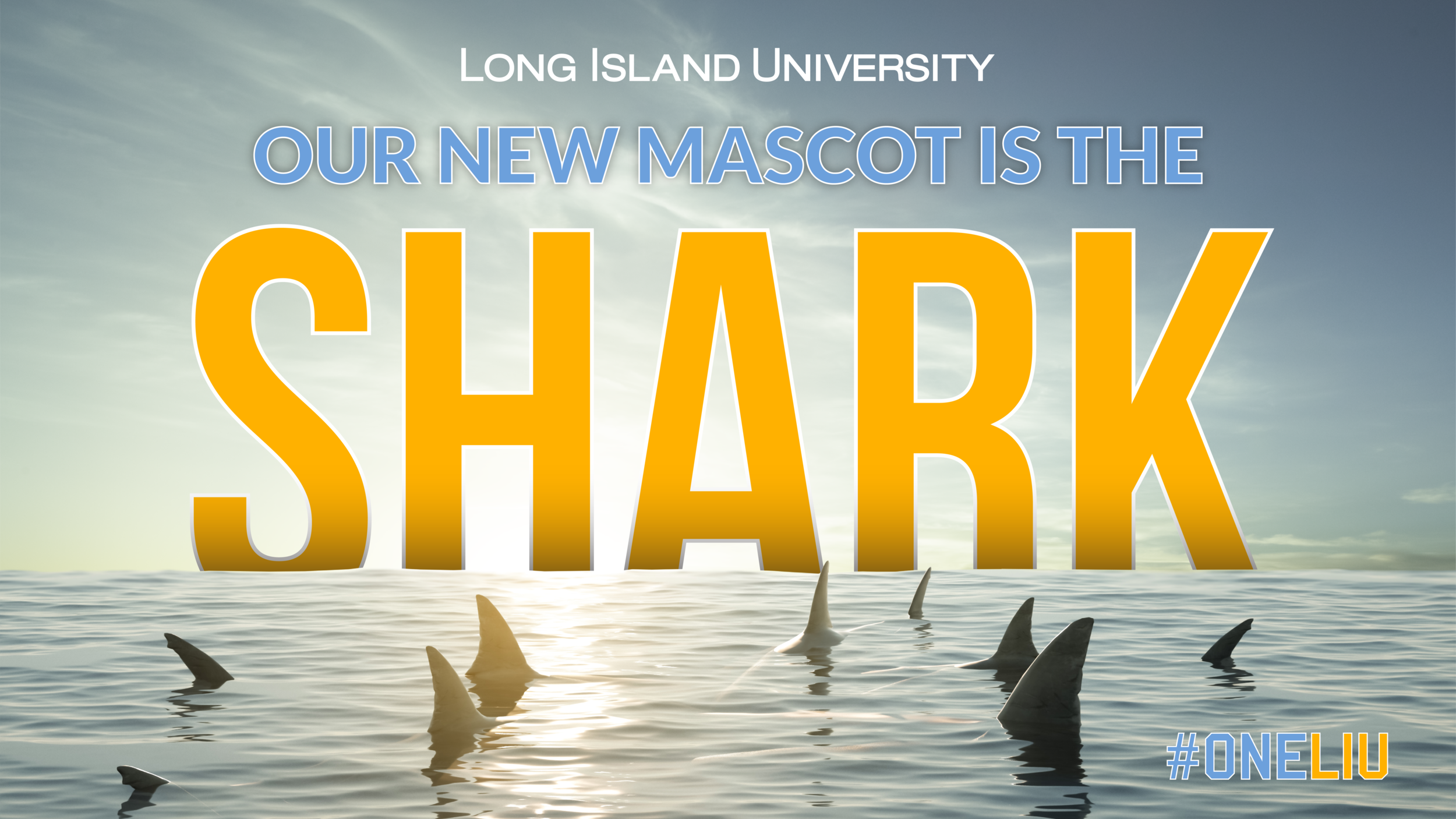 shark-mascot-image-02.png