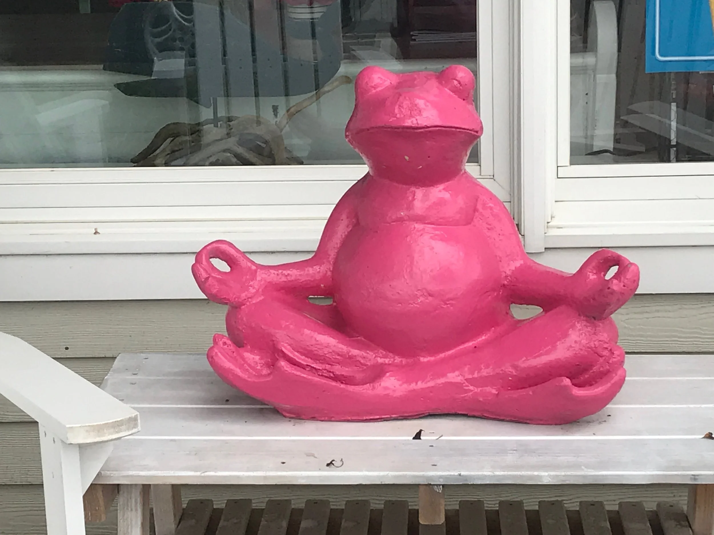 frog meditatiing.jpeg