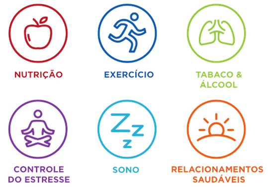 pilares medicina de estilo de vida.png