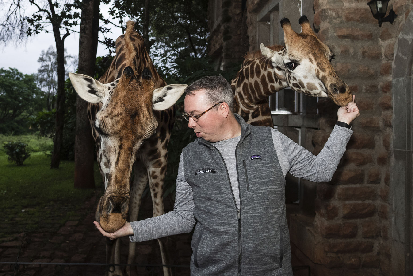 Tod Dalberg hand feeding two Rothschild giraffes outside of Giraffe Manor in Nairobi