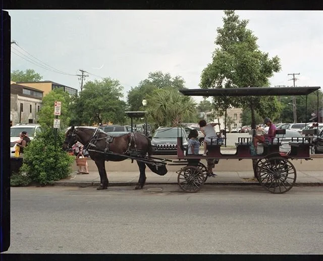 @kodak #kodakfilm #portra800 #zenzabronica #6x45film #120 #mediumformat #filmphotographic #fwphotocollective #photocinematica #thefilmcommunity #120filmphotography #aperturemagazine #shootfilmmag #filmpht #analogforever #magnumphotos #charlestonclose