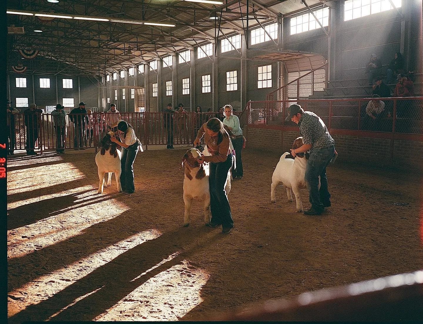 @fortworthstockshowrodeo life
#fujiga645
