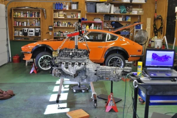 DSC_0680 (Large).JPG